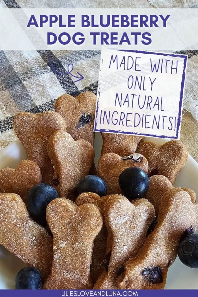 A collection of homemade blueberry applesauce dog treats shaped like bones, featuring blueberries and labeled as "Blueberry Applesauce Dog Treats."