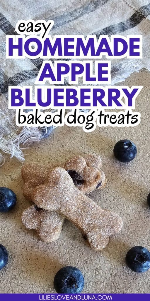 Homemade apple blueberry dog treats shaped like bones, surrounded by fresh blueberries and featuring a sign indicating they are made with only natural ingredients.