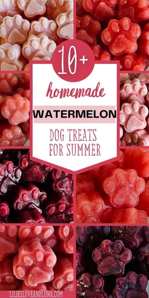 A colorful assortment of homemade watermelon-themed dog treats shaped like paw prints, highlighted with the text "10+ Homemade Watermelon Dog Treats for Summer."