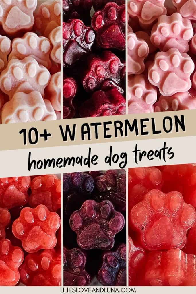 A collage of paw shaped homemade dog treats with the text “10+ watermelon homemade dog treats.”