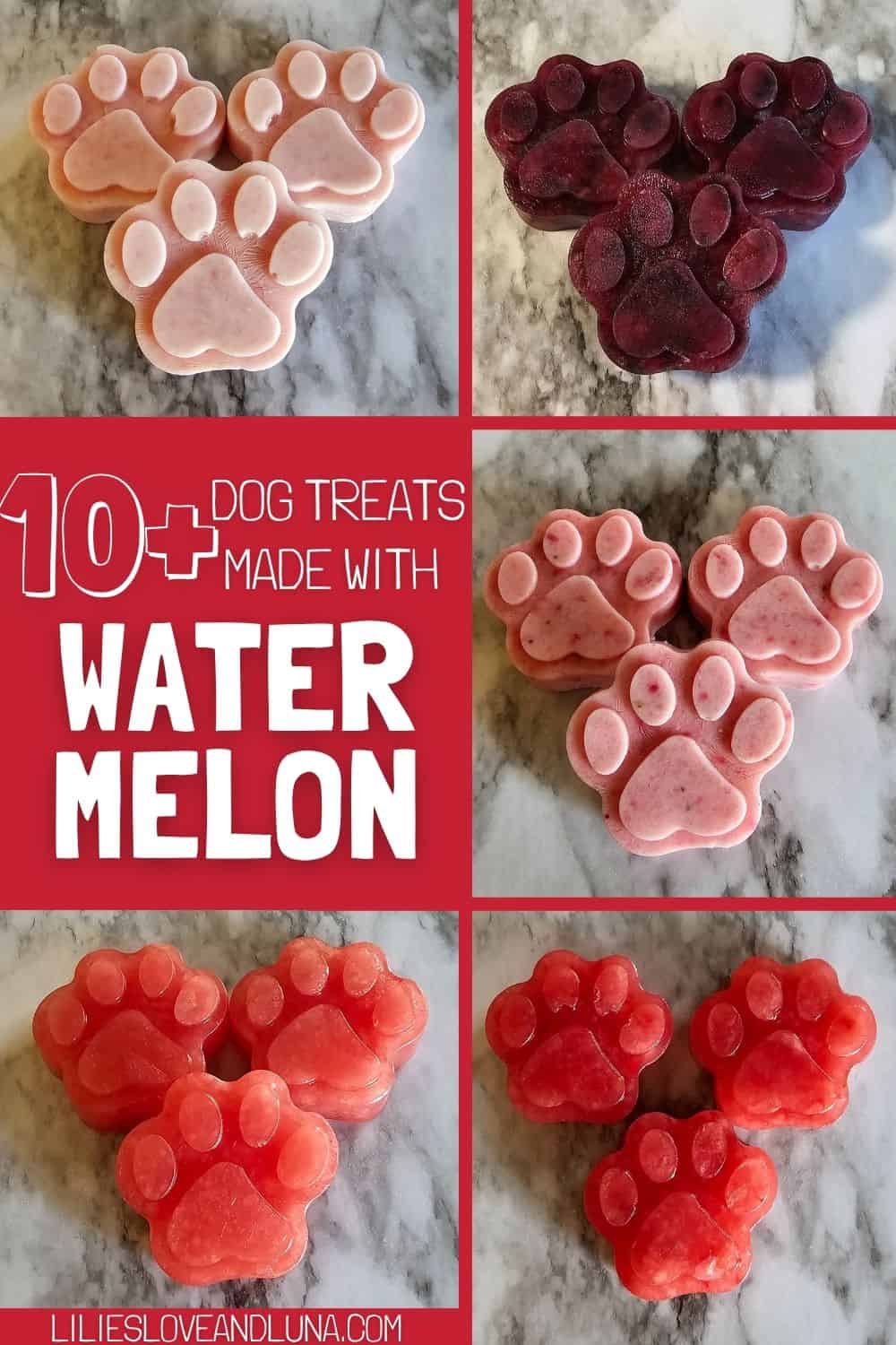A variety of homemade, frozen dog treats in the shape of paw prints, made with watermelon, are displayed on a marble surface, accompanied by text promoting 10+ dog treat recipes.