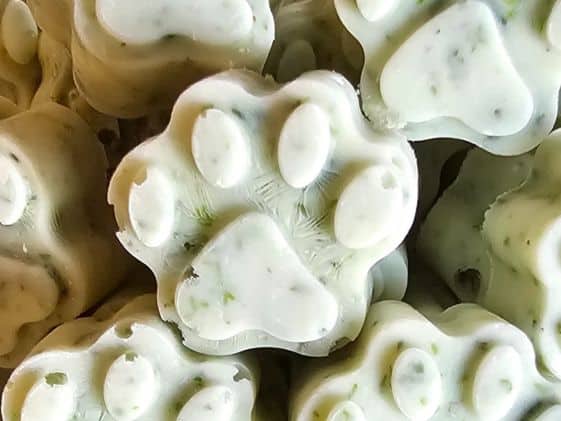 Close up of paw shaped frozen mint dog treats.