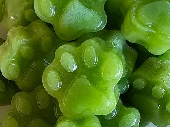 Close up of paw shaped frozen mint dog treats.