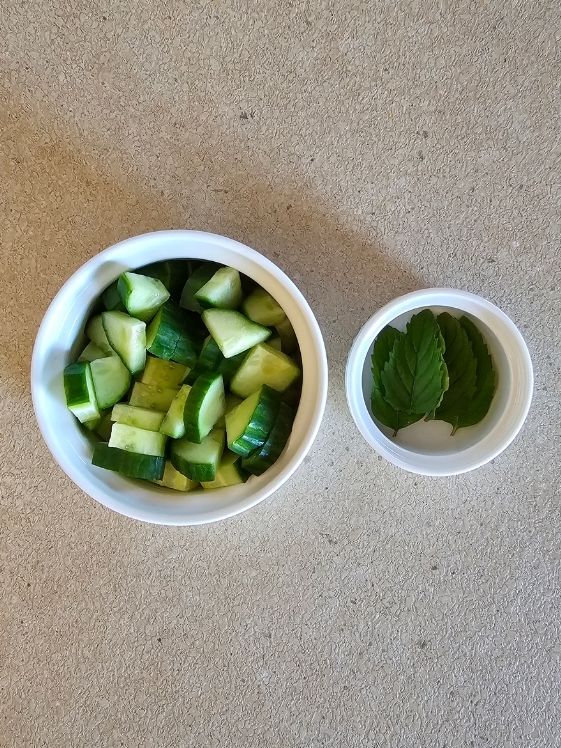 Cucumber and mint leaves in individual white bowls.