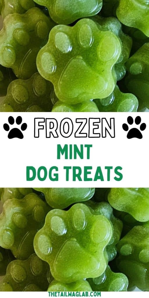 Close-up of green paw-shaped frozen mint dog treats with a white center panel reading “Frozen Mint Dog Treats.”