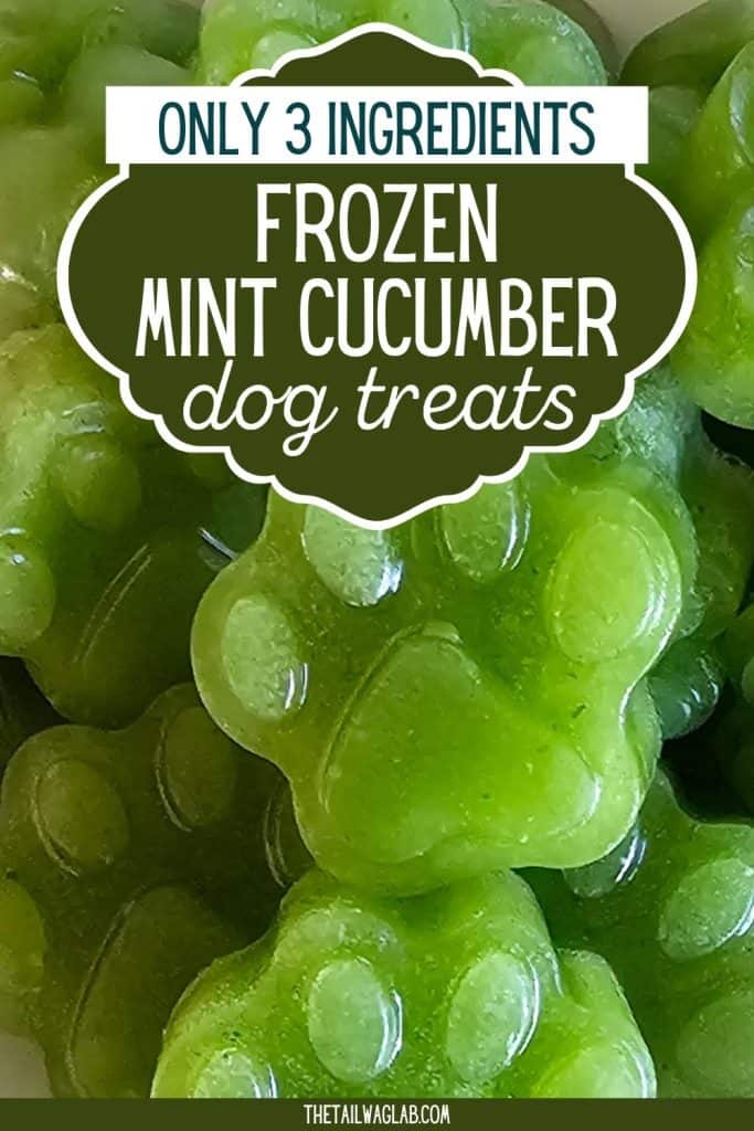 Close-up of green paw-shaped frozen dog treats with a dark green label reading “Only 3 Ingredients Frozen Mint Cucumber Dog Treats.”