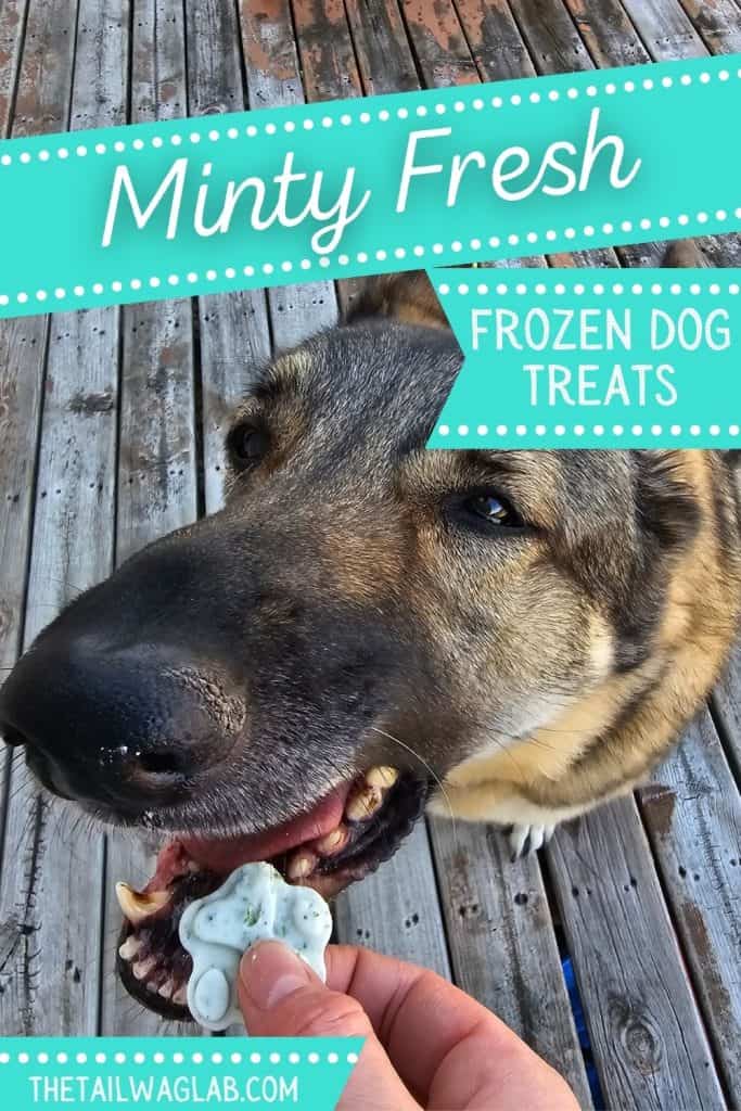 A dog is shown eagerly taking a frozen mint-flavored treat from a person's hand on a wooden deck.