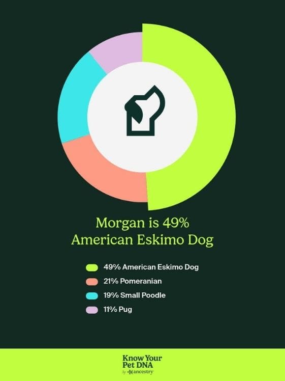 Morgan's Ancestry test results.