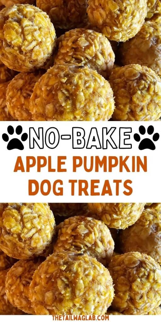 Close-up of homemade apple pumpkin dog treat balls with a white banner reading “No-Bake Apple Pumpkin Dog Treats.”