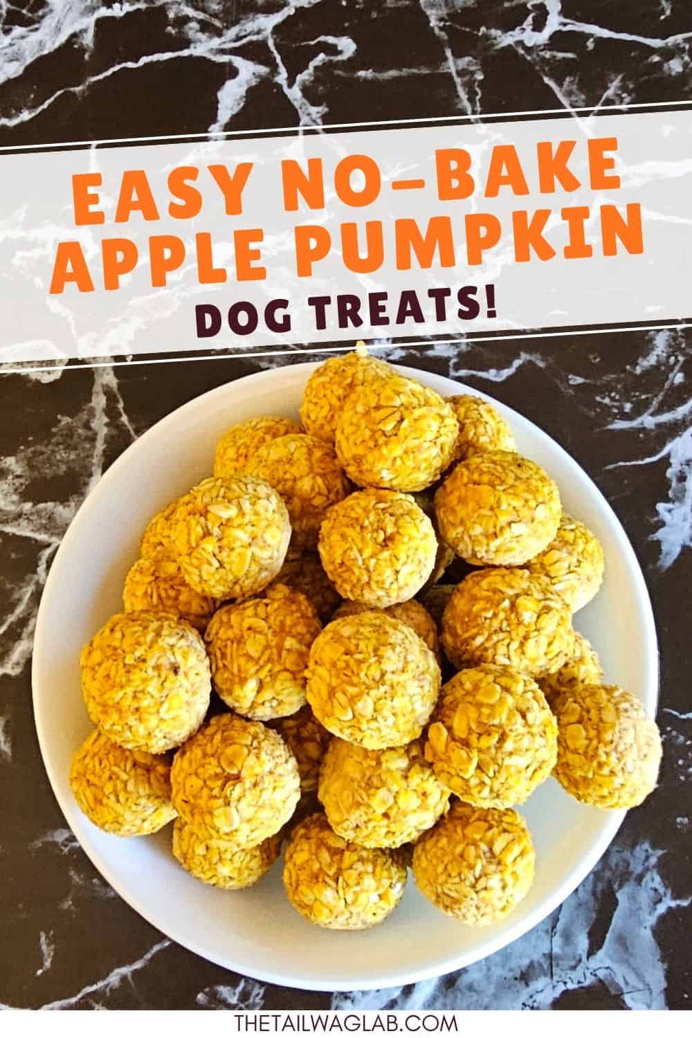 Bowl filled with round apple pumpkin oat dog treats on a dark marble surface with text reading “Easy No-Bake Apple Pumpkin Dog Treats.”