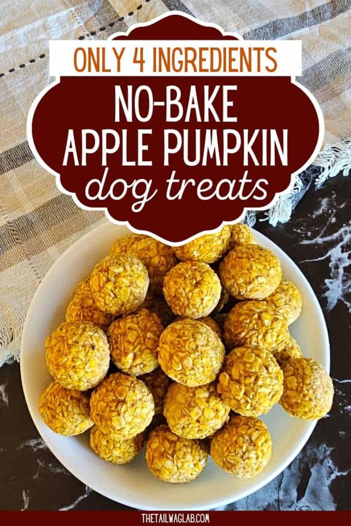Bowl of homemade apple pumpkin dog treats with a dark red label reading “Only 4 Ingredients — No-Bake Apple Pumpkin Dog Treats.”