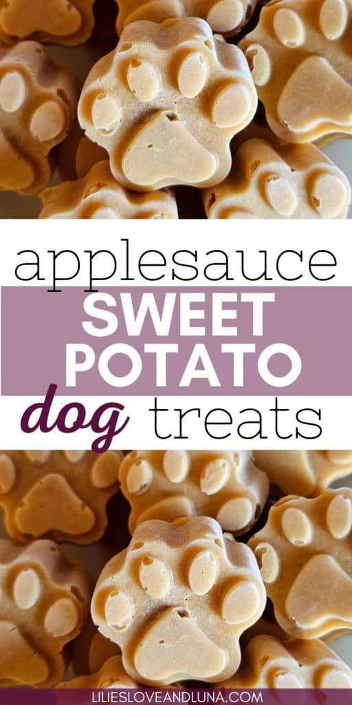 A close-up of homemade applesauce and sweet potato dog treats shaped like paw prints, emphasizing autumn flavors and easy DIY recipes for dogs.