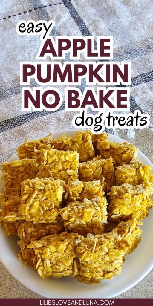 A plate of homemade no-bake dog treats made with applesauce and pumpkin is displayed, showcasing the treats' rectangular shapes and oat texture.