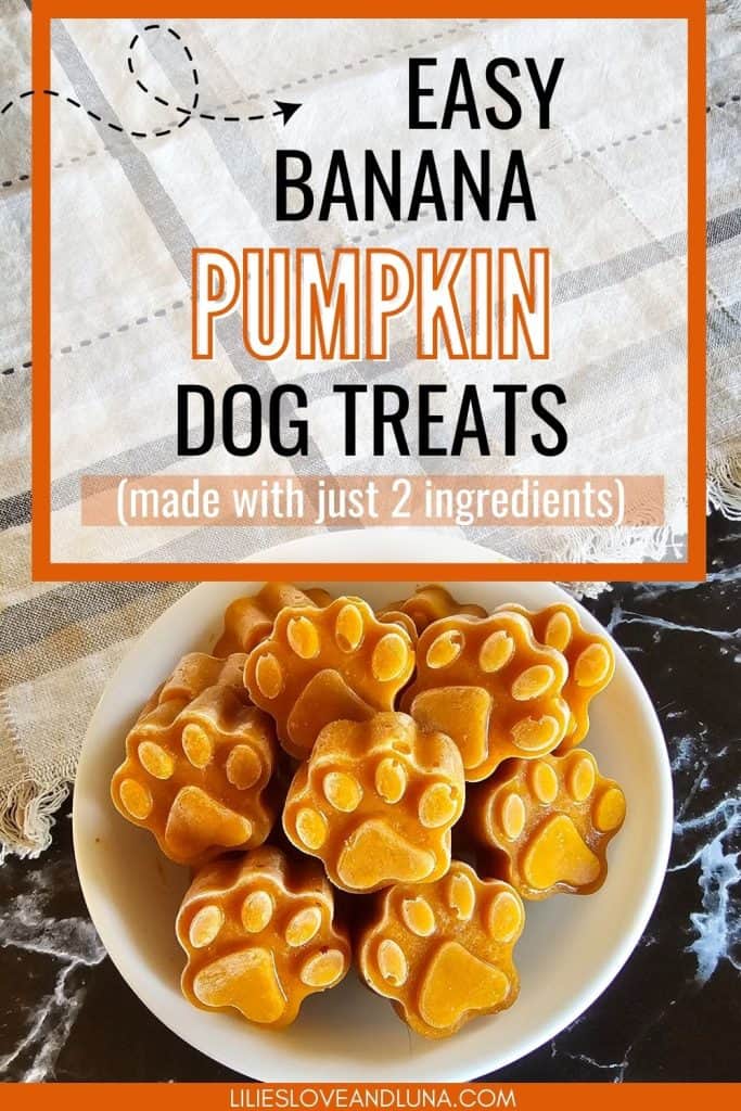 A plate of paw-shaped, frozen dog treats made with banana and pumpkin is displayed, showcasing a simple recipe that highlights homemade, easy-to-make options for pet snacks.