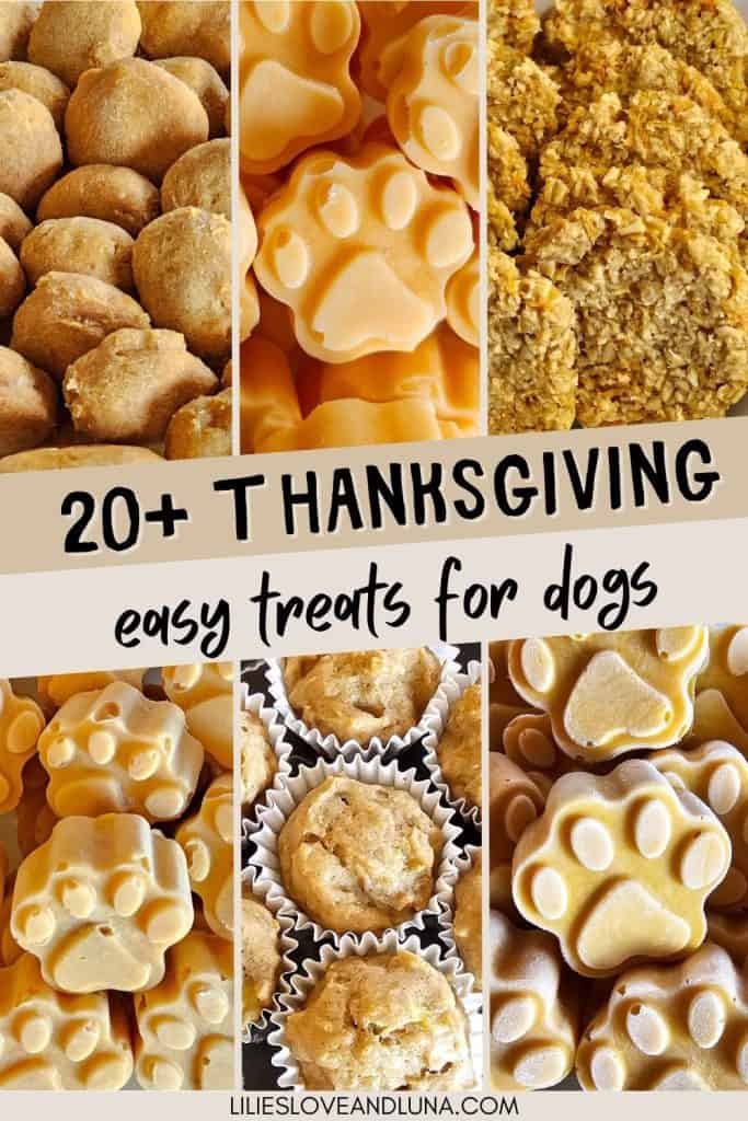 A collage of various homemade dog treats, including pumpkin-flavored bites and paw-shaped frozen snacks, accompanied by a title highlighting "20+ Thanksgiving easy treats for dogs."