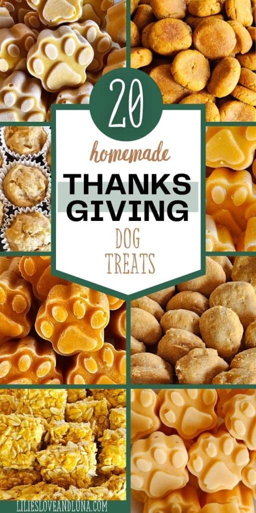 A collage featuring various homemade dog treats, including pumpkin-flavored paw-shaped cookies and baked goods, highlighted by the text "20 Homemade Thanksgiving Dog Treats."