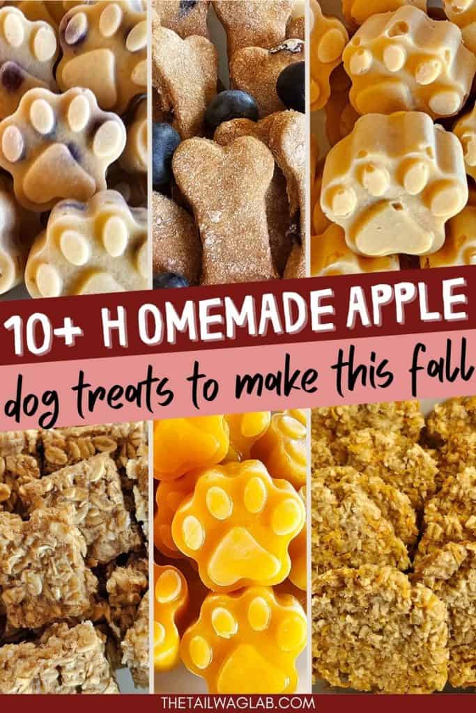 A collage of homemade apple dog treats, including paw-shaped and bone-shaped dog treats, with text overlay stating "10 homemade apple dog treats to make this fall."