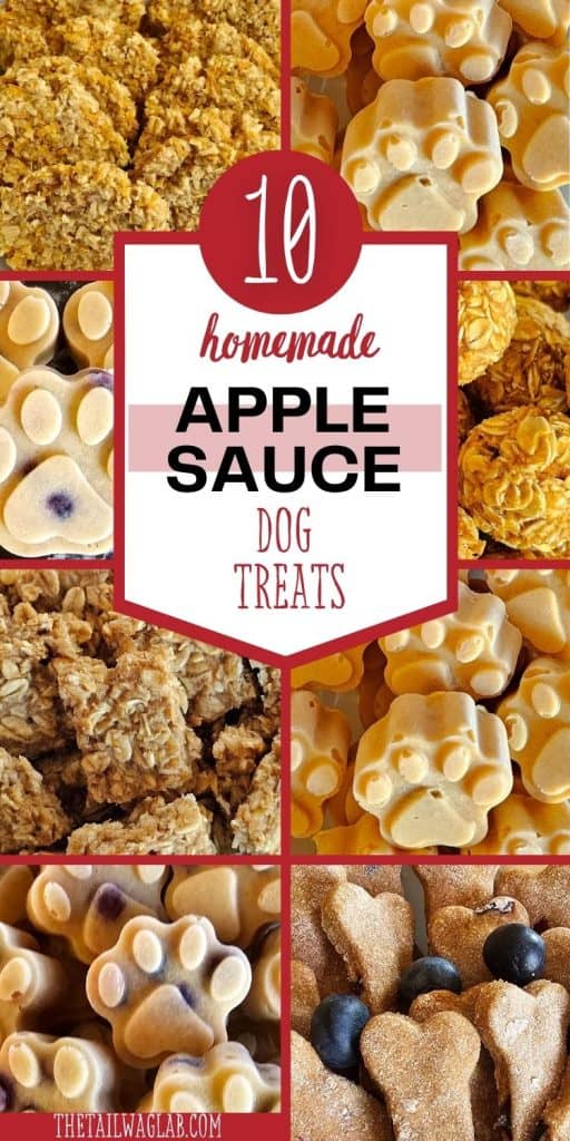 A collage of various homemade apple dog treats, including shaped biscuits and frozen paw prints, features the text "10 Homemade Apple Sauce Dog Treats" prominently displayed.