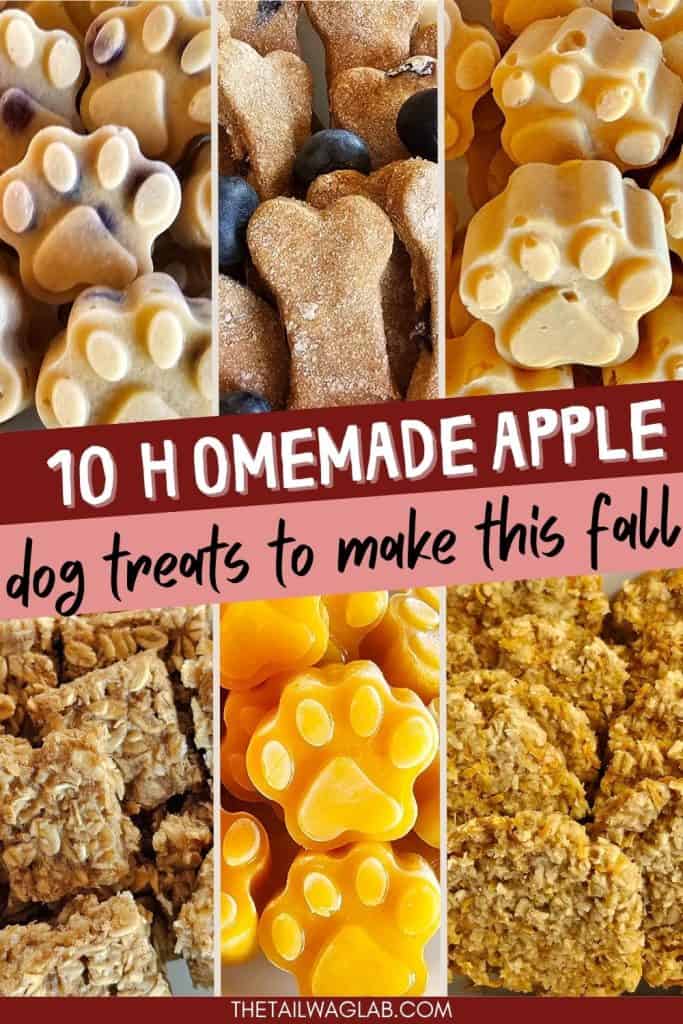 A collage of homemade apple dog treats, including paw-shaped and bone-shaped dog treats, with text overlay stating "10 homemade apple dog treats to make this fall."