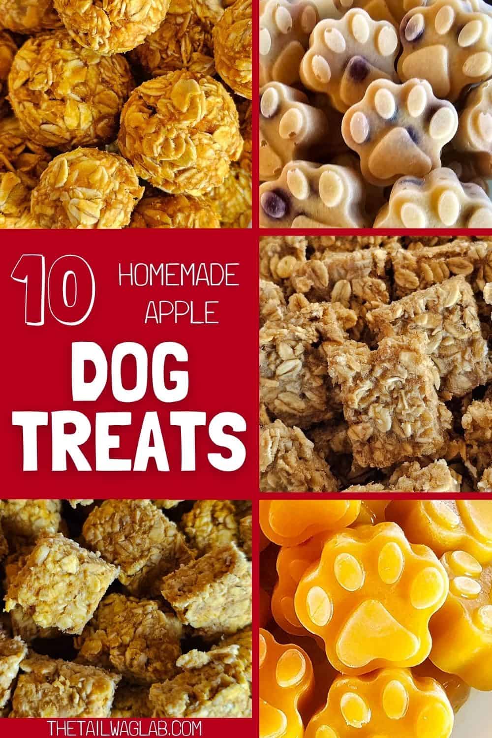 A collage of homemade apple dog treats with a text overlay that reads "10 homemade apple dog treats."