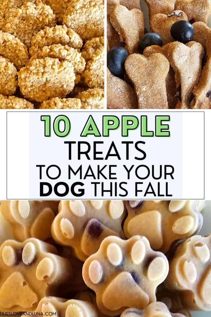 A collage of three types of homemade apple dog treats, including paw-shaped and bone-shaped biscuits, with text overlay stating "10 Apple Treats to Make Your Dog This Fall."