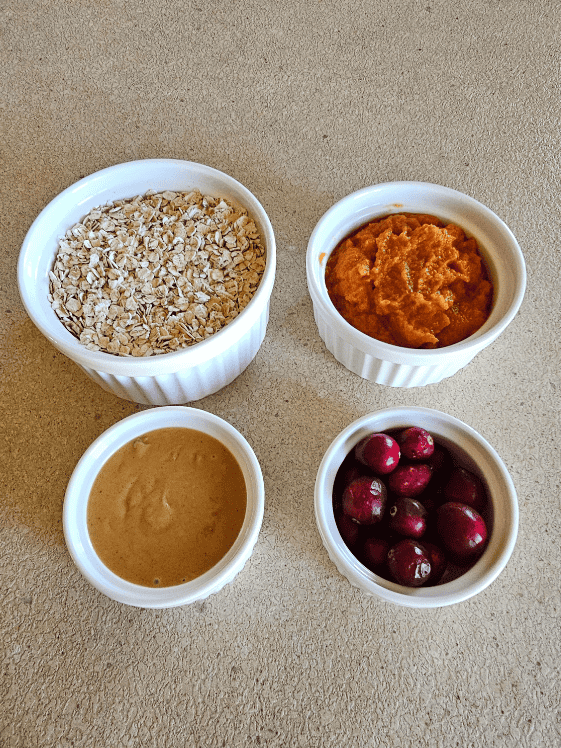 Quick oats, pumpkin puree, peanut butter, and cranberries in individual white bowls.