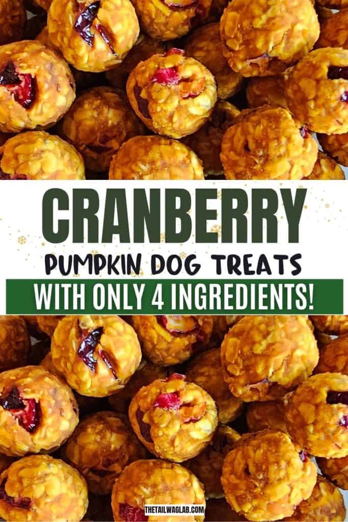 A close-up image of round homemade dog treats made with pumpkin and cranberries.
