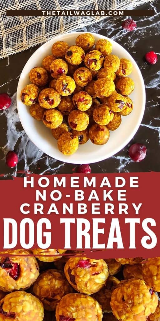 A plate of homemade no-bake cranberry dog treats, featuring round, golden-colored balls with visible cranberry pieces, is displayed alongside fresh cranberries on a dark surface.