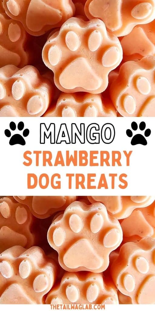 A close-up of homemade mango and strawberry dog treats, shaped like paw prints, showcasing a variety of frozen dog snacks suitable for pets.