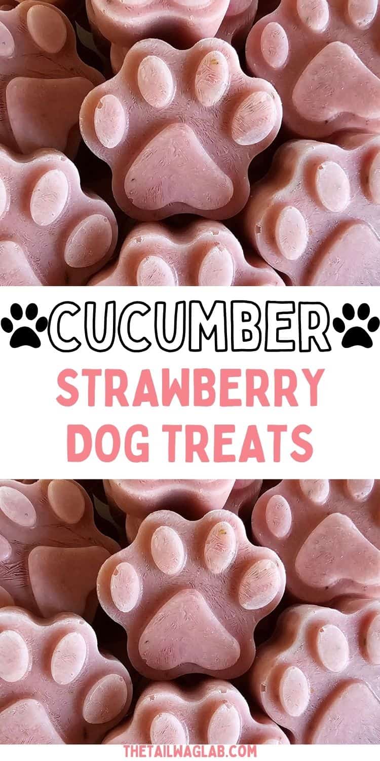 Paw shaped frozen strawberry cucumber dog treats with a text overlay that reads "cucumber strawberry dog treats."
