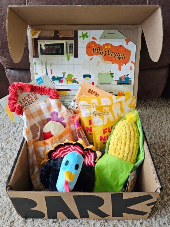 An open BarkBox showing the toys and treats that are in it.