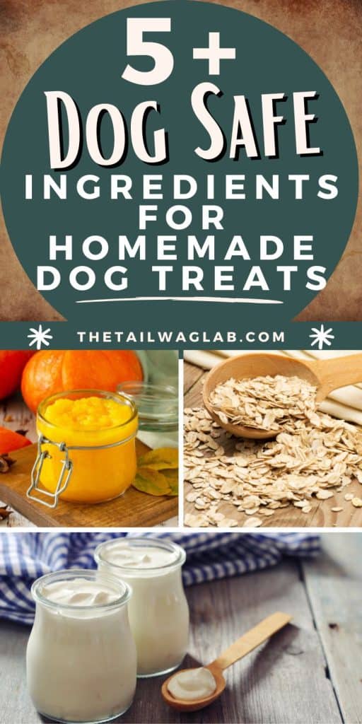 An image featuring the text "5+ Dog Safe Ingredients for Homemade Dog Treats" alongside pictures of pumpkin puree, oats, and yogurt in glass jars, highlighting safe ingredients for pet treats.