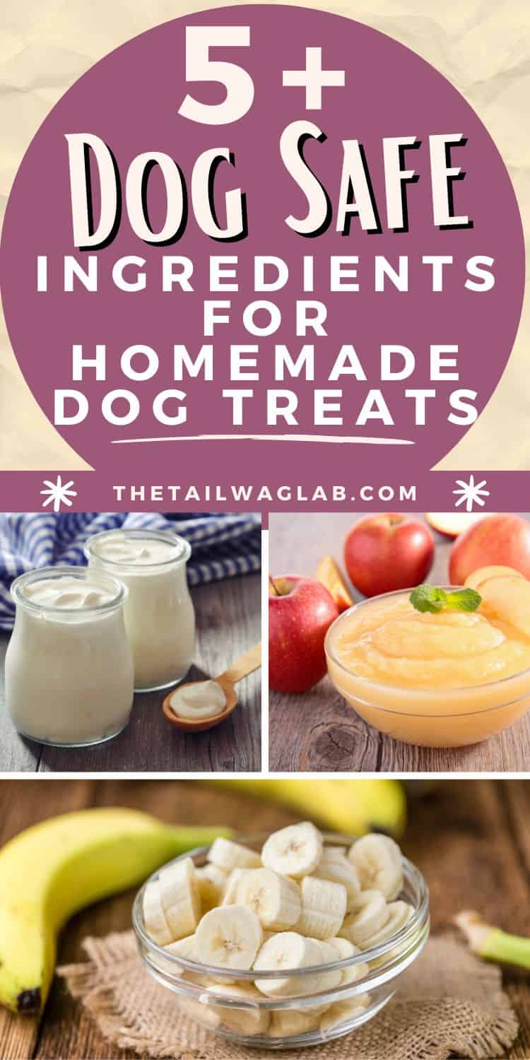 An image featuring the text "5+ Dog Safe Ingredients for Homemade Dog Treats" alongside pictures of pumpkin puree, oats, and yogurt in glass jars, highlighting safe ingredients for pet treats.