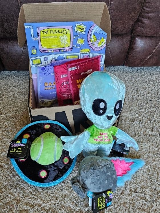 An open BarkBox showing the toys and treats included.