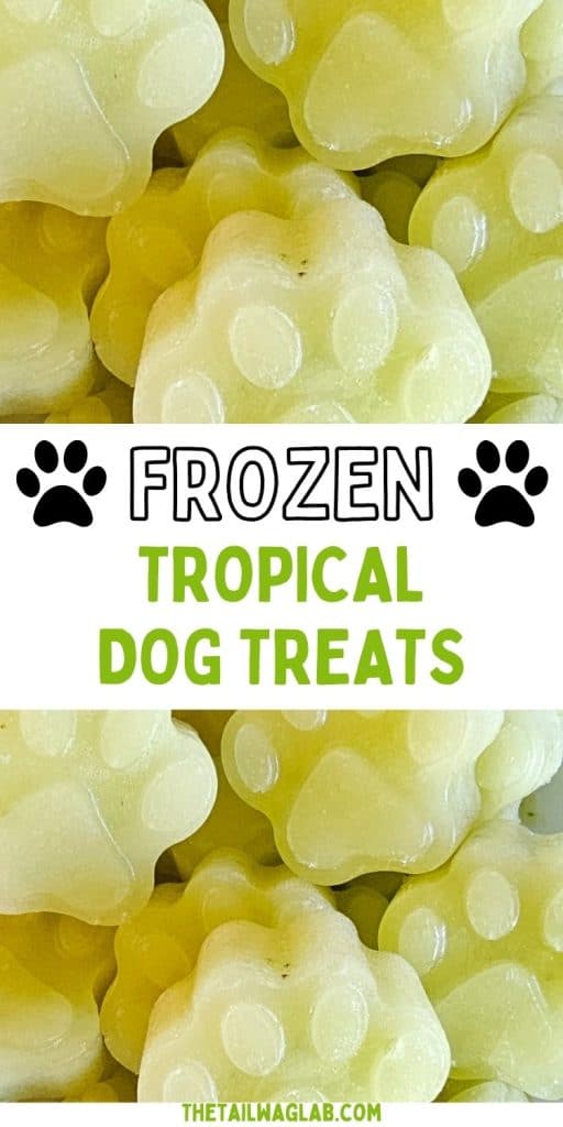 Pinterest graphic for Tropical Pup Pops featuring pale green frozen paw-shaped dog treats. The image shows a close-up of the frozen treats with a white banner across the center that reads "Frozen Tropical Dog Treats" in black and green text, surrounded by black paw print icons.