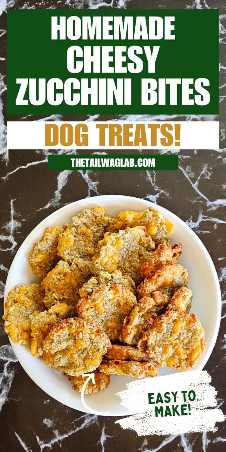 Pinterest pin featuring homemade cheesy zucchini bites for dogs with the text "Homemade Cheesy Zucchini Bites Dog Treats!" and "Easy to Make!" displayed alongside a photo of the treats on a white plate.