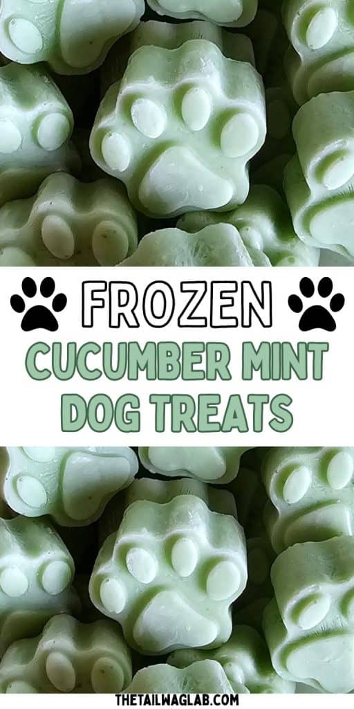 Close-up of homemade cucumber mint frozen dog treats shaped like paws. Text on the image reads, "Frozen Cucumber Mint Dog Treats."