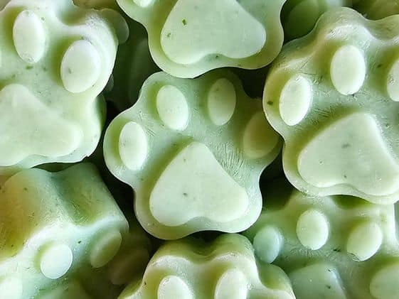 Close up of paw shaped frozen cucumber honeydew dog treats.