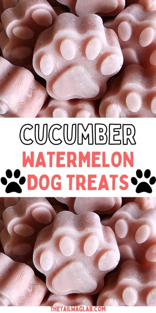 Close-up of pink paw-shaped frozen dog treats with large text reading “Cucumber Watermelon Dog Treats” and black paw-print graphics.