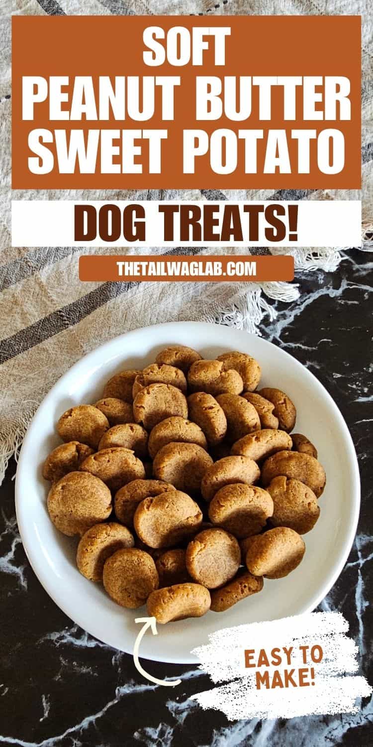 A Pinterest graphic showing a bowl of homemade dog treats with the text "Soft Peanut Butter Sweet Potato Dog Treats" and "Easy to Make."