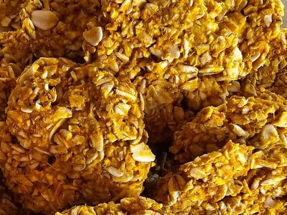 Close up of pumpkin oat dog biscuits.