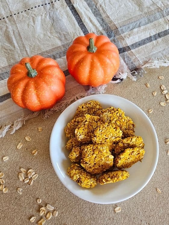 Pumpkin oat dog biscuits in a white bowl next to two small pumpkins on a linen towel.