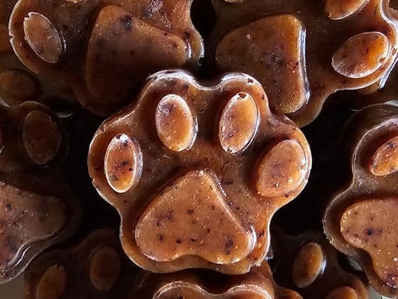 Close up of paw shaped blueberry pumpkin frozen dog treats.