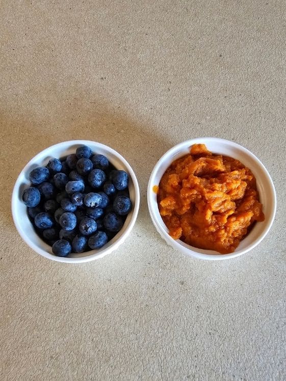 Blueberries and pumpkin puree in individual white bowls.