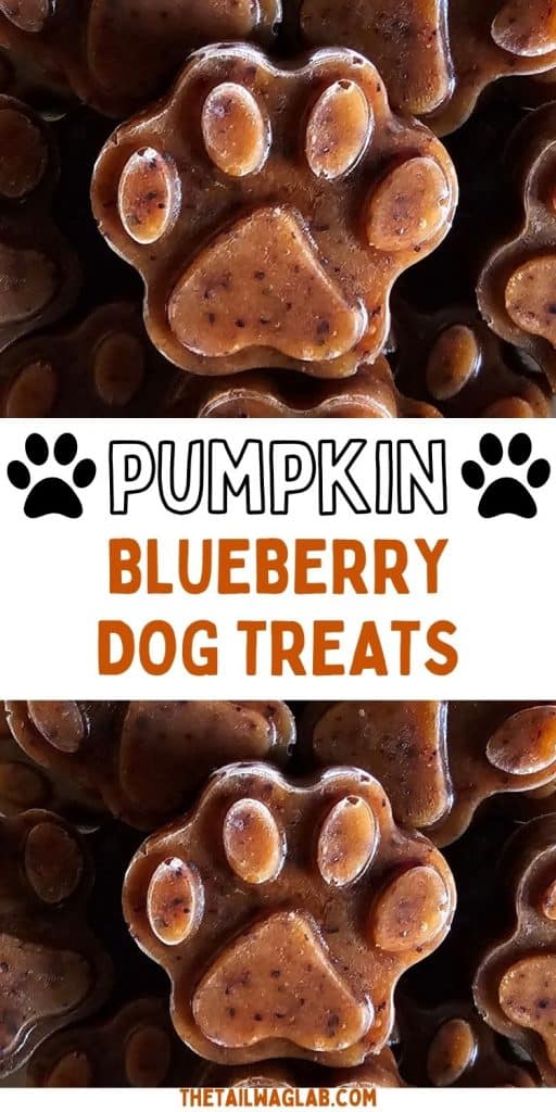 Pinterest pin featuring close-up photos of paw-shaped frozen dog treats with the text “Pumpkin Blueberry Dog Treats.”