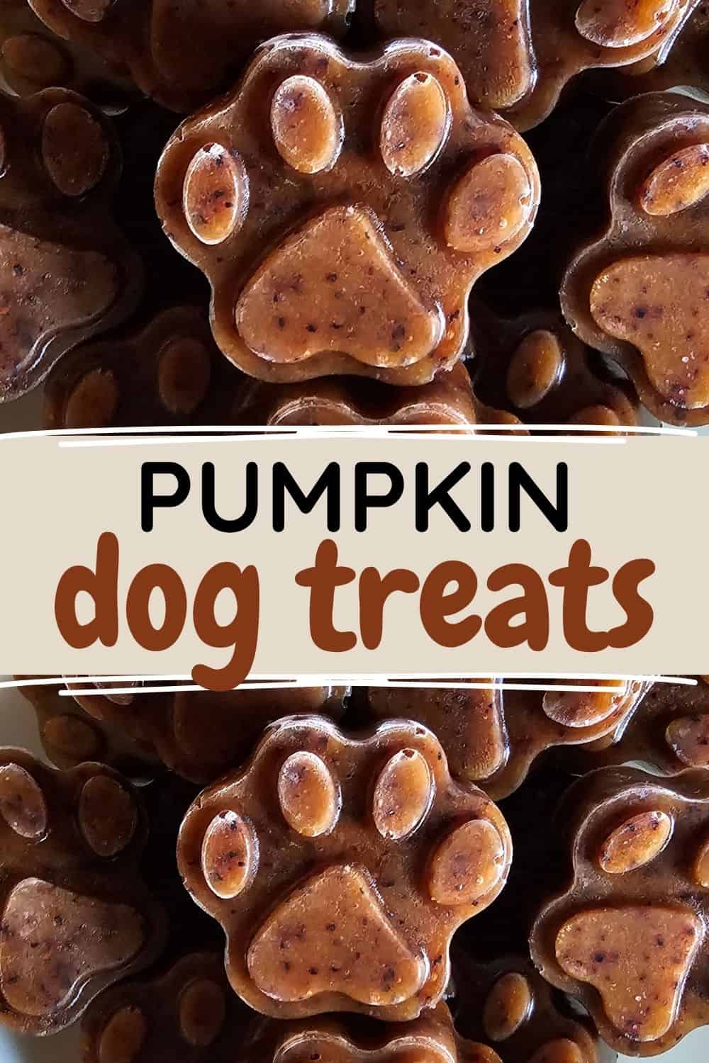 Close-up of brown paw-shaped frozen dog treats above and below a cream text box that reads “Pumpkin Dog Treats.”