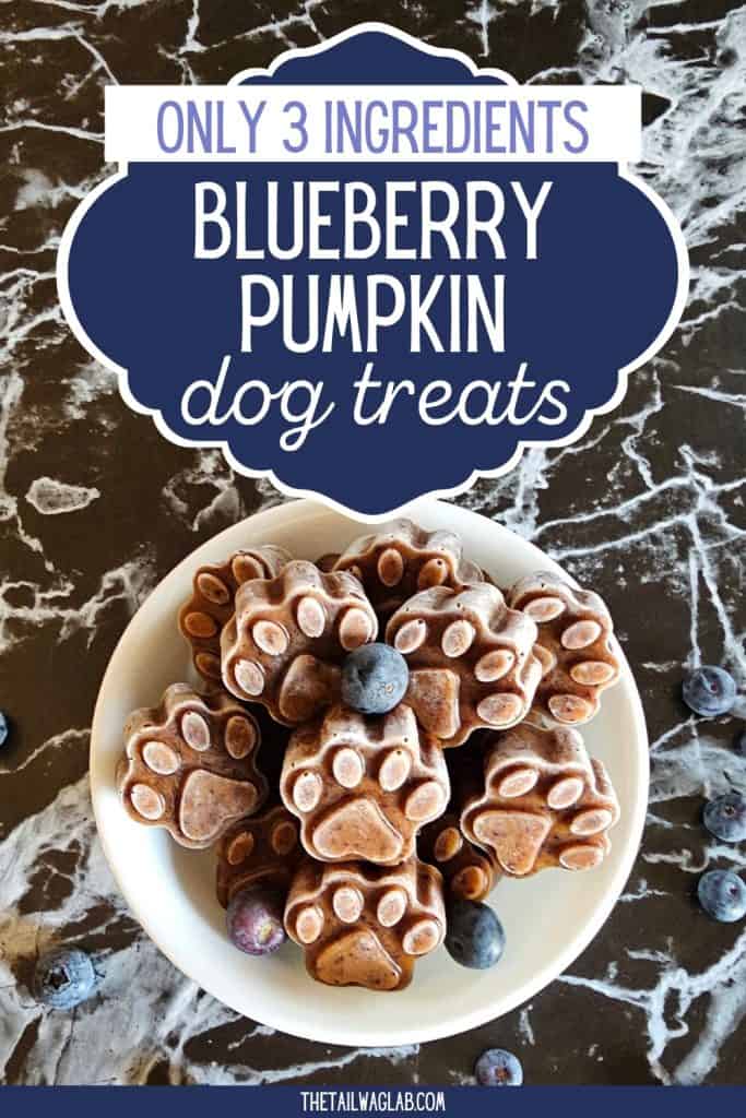 Bowl of paw-shaped blueberry pumpkin frozen dog treats with scattered blueberries and the text “Only 3 Ingredients Blueberry Pumpkin Dog Treats.”
