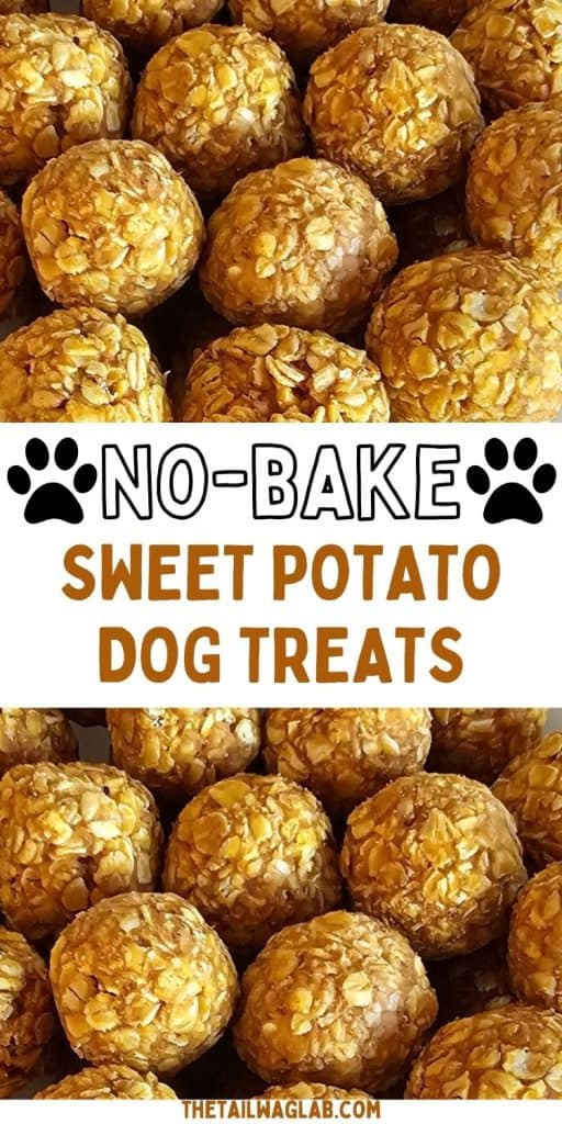 Close-up photos of round sweet potato and oat dog treats with text reading “No-Bake Sweet Potato Dog Treats.”
