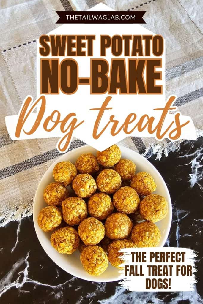 Bowl of round sweet potato and oat dog treats with fall-colored text reading “Sweet Potato No-Bake Dog Treats” and “The Perfect Fall Treat for Dogs.”
