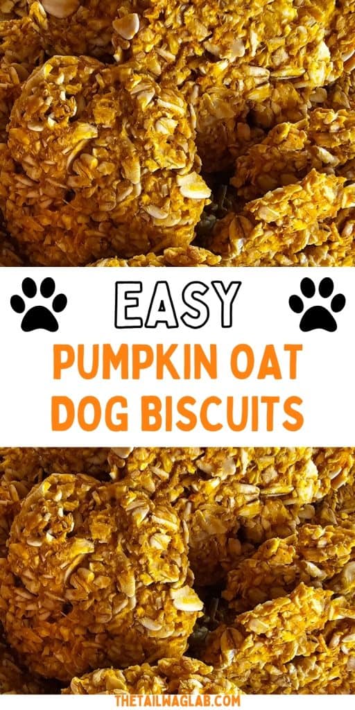 Close-up of homemade orange pumpkin oat dog biscuits with a white text panel reading “Easy Pumpkin Oat Dog Biscuits” and black paw prints.